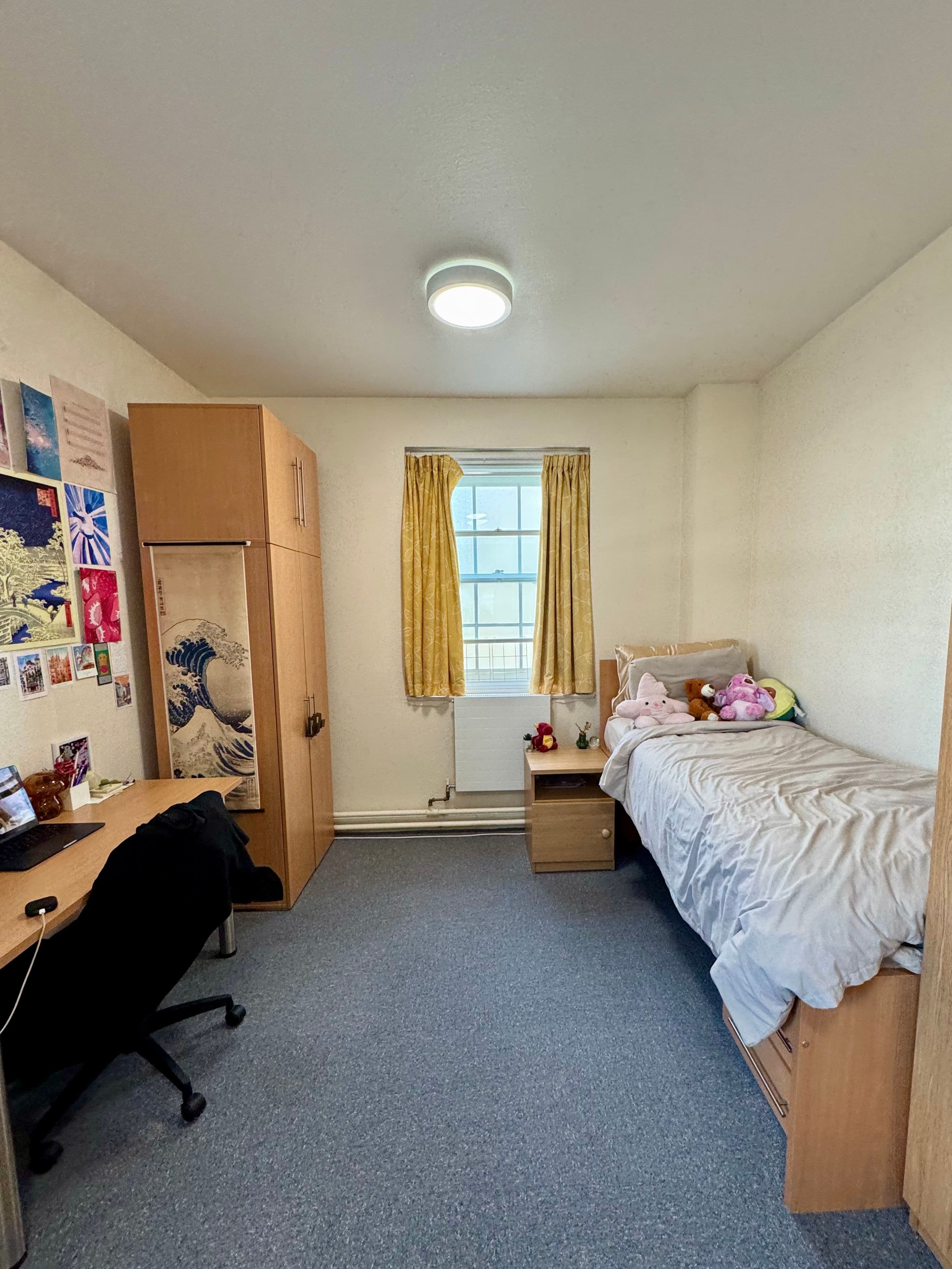 Large Single Room – Goldsmith House (Female-Only Student Accommodation) - photo 1