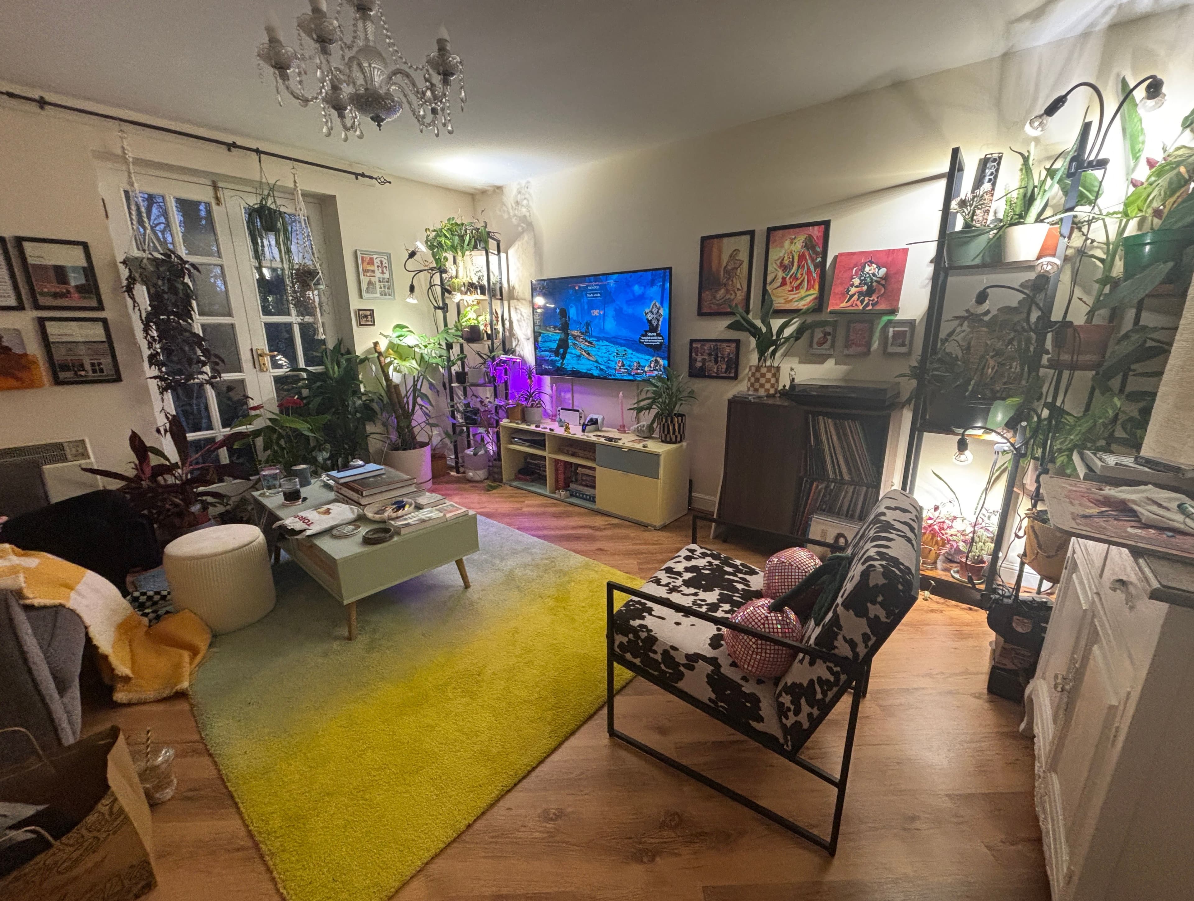 Double Room available in cosy North London flat ! - photo 1