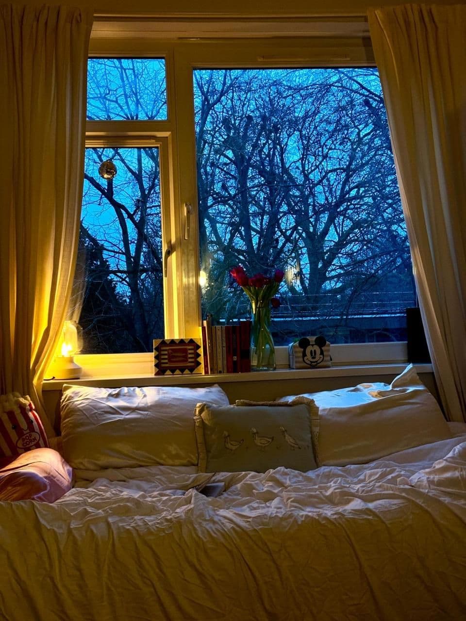 The One with the Balcony (and Your Own Loo) - photo 1