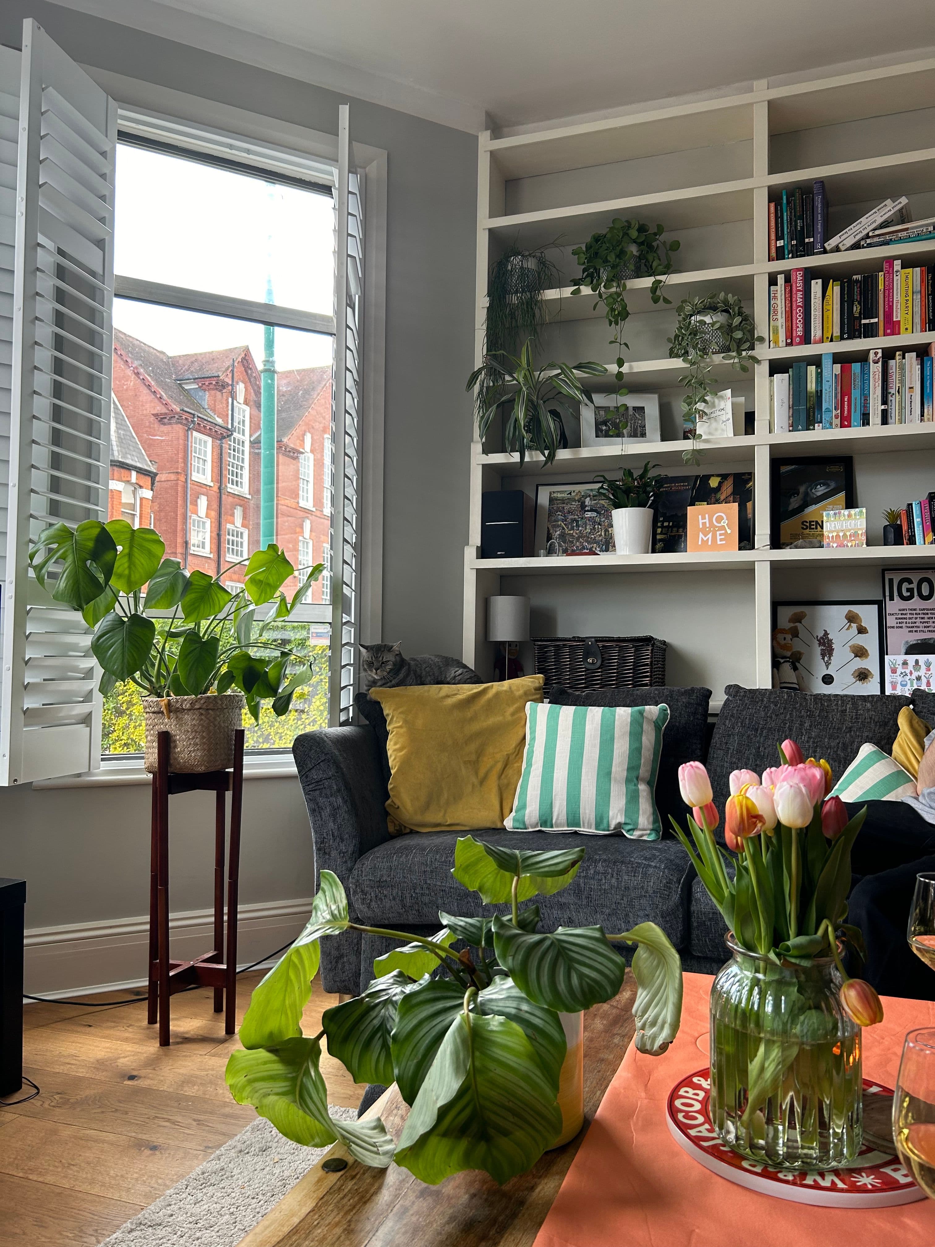 Garden flat in Harringay (with cats!) - photo 3