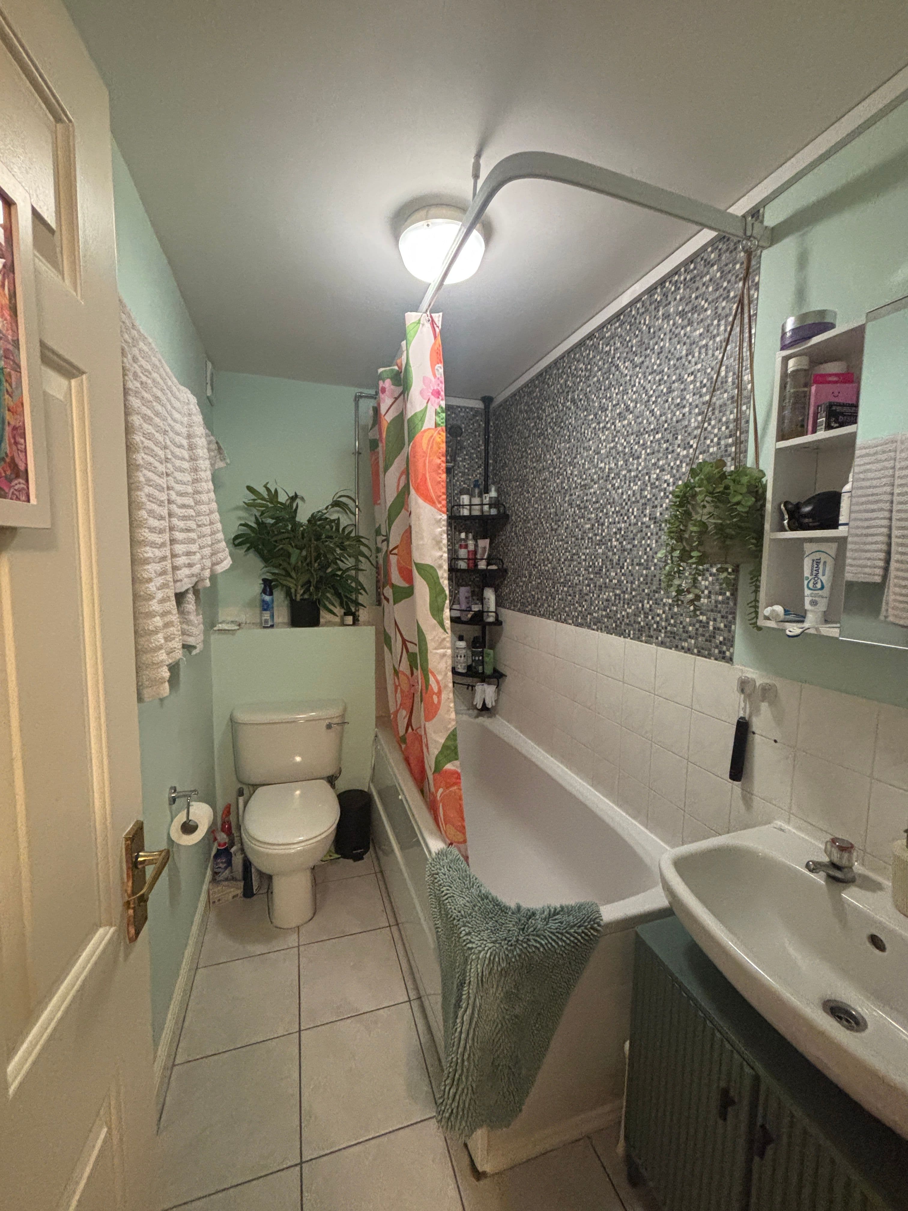 Double Room available in cosy North London flat ! - photo 4
