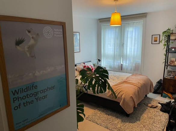 Bright double room available in Highbury ☀️ — photo 4