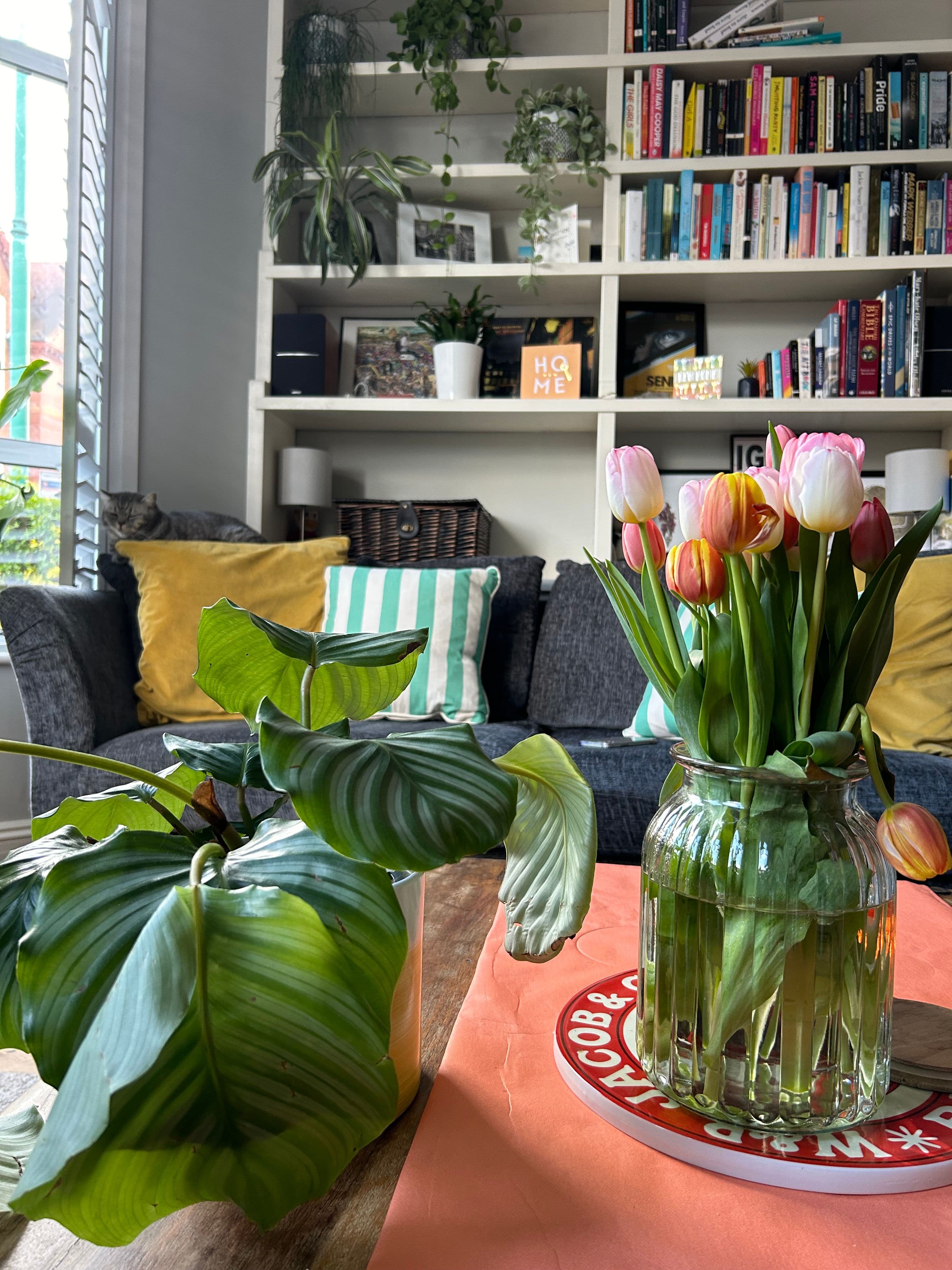 Garden flat in Harringay (with cats!) - photo 4