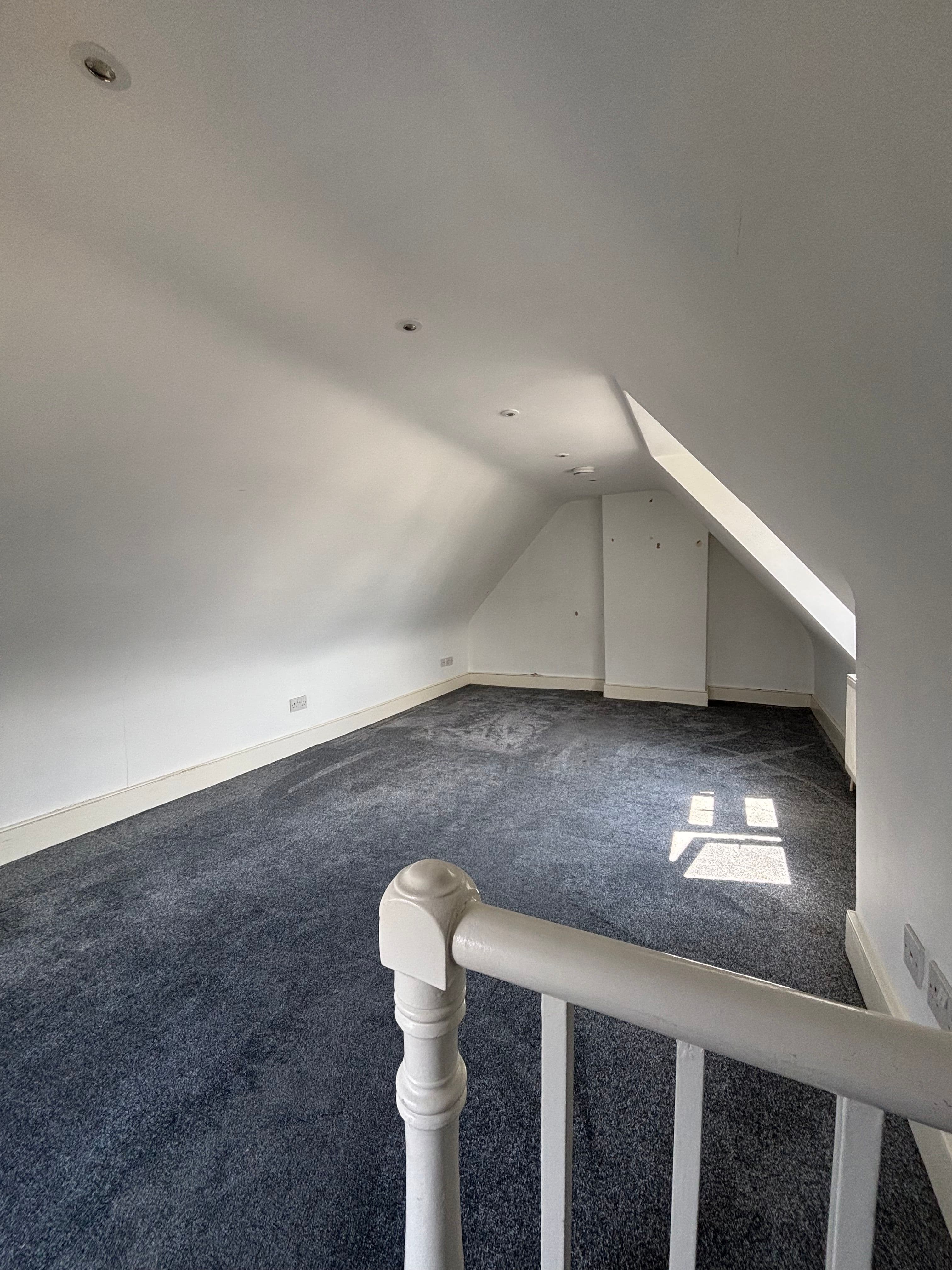 Giant Loft Room in Dulwich Flat Share - photo 1