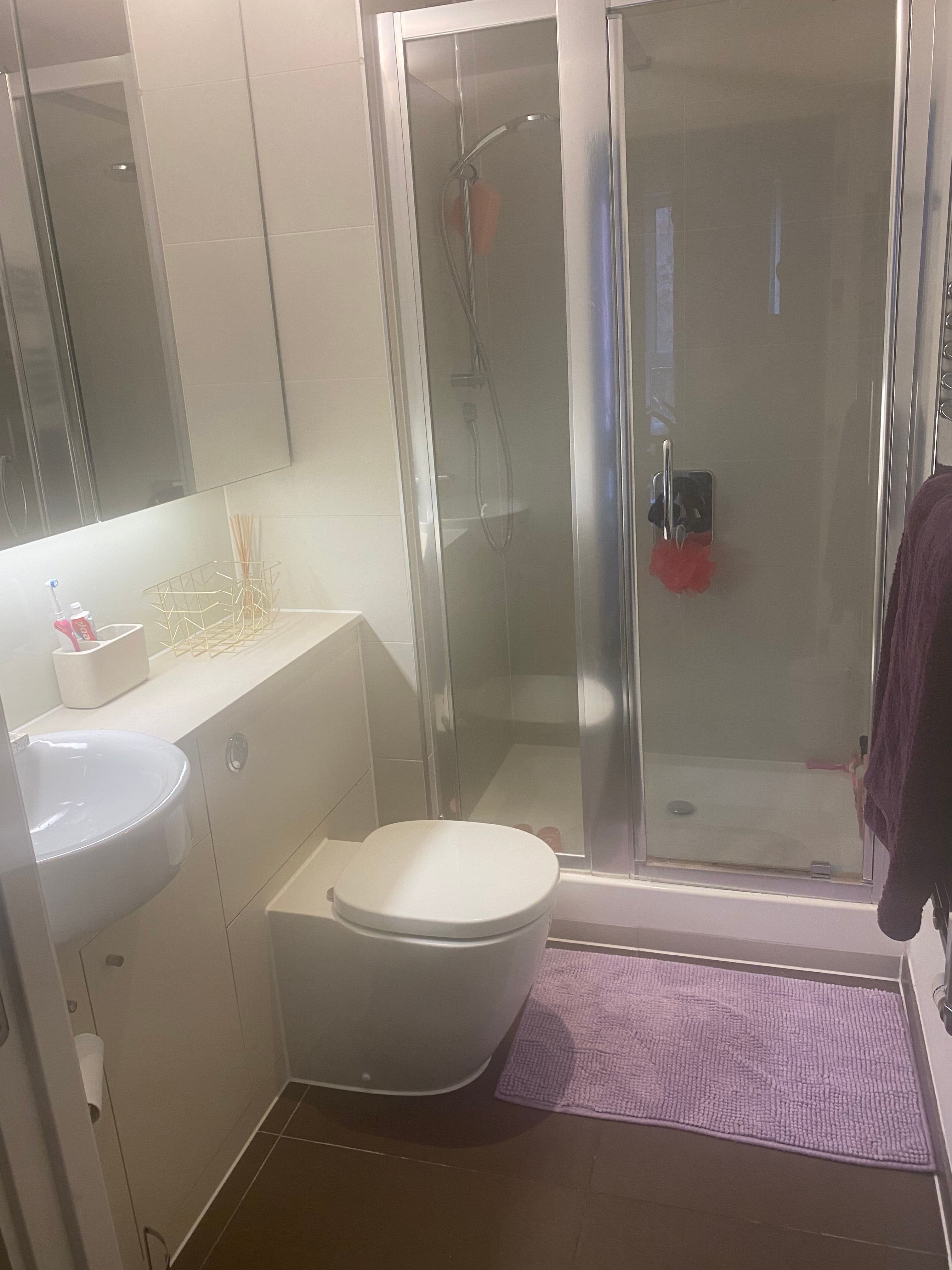 En suite bedroom in Stratford from end of May - photo 2