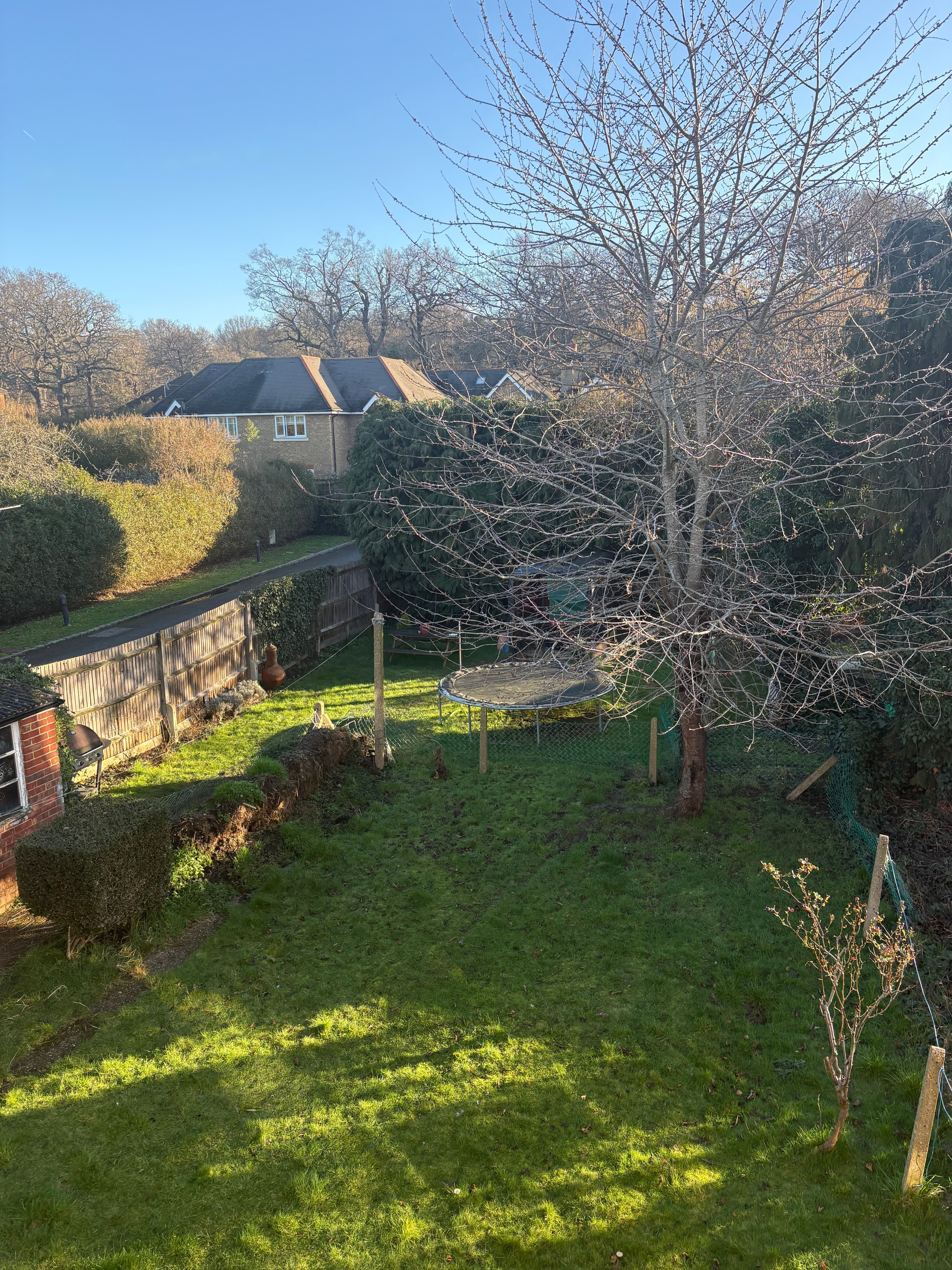 Flatshare with garden close to Richmond Park - photo 2