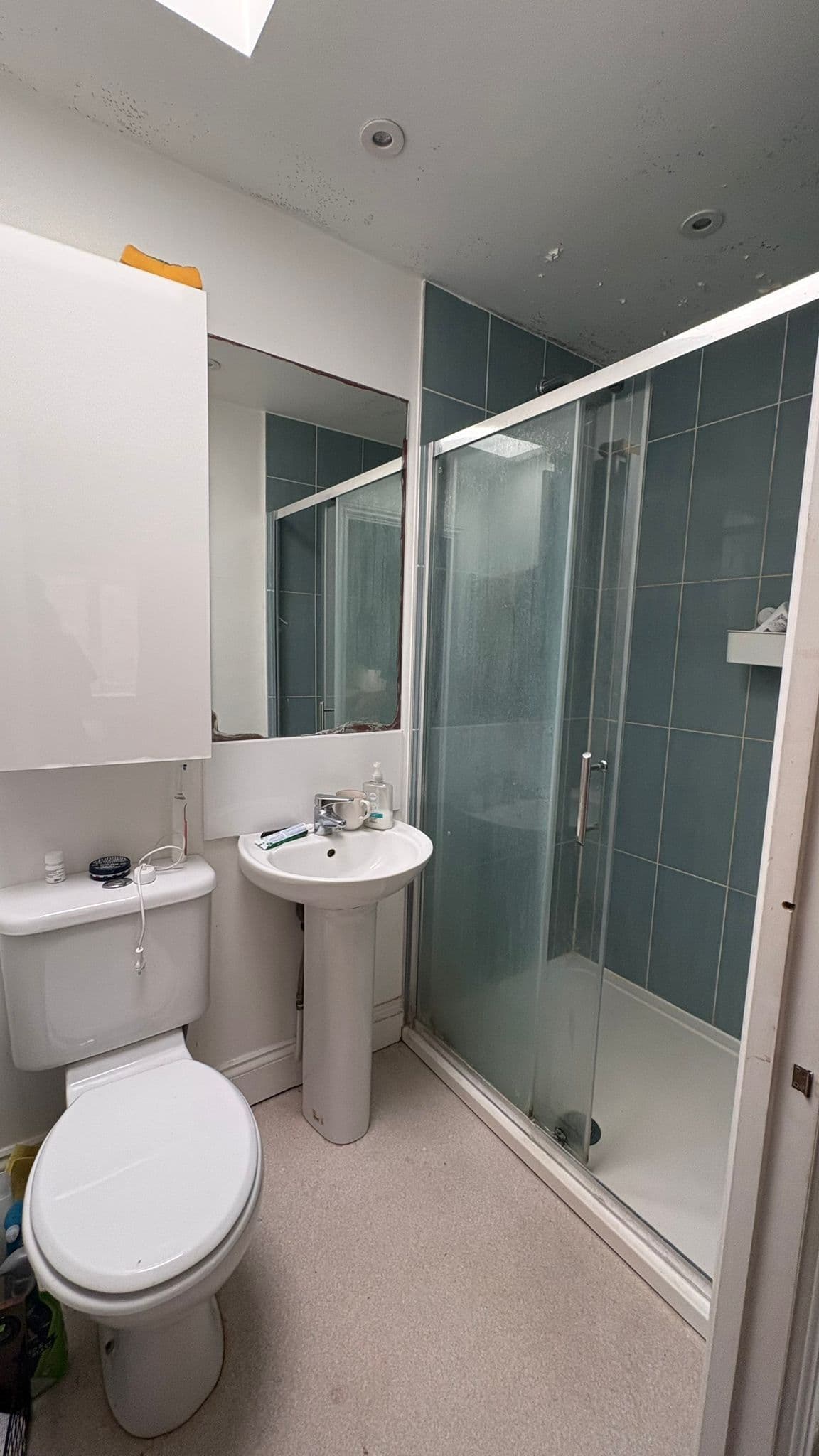 Gorgeous split-level en-suite Room Available in Friendly Flatshare, Zone 2 - photo 4