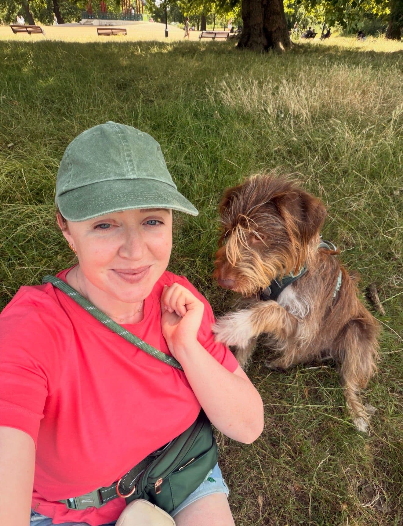 Irish professional with dog - photo 2