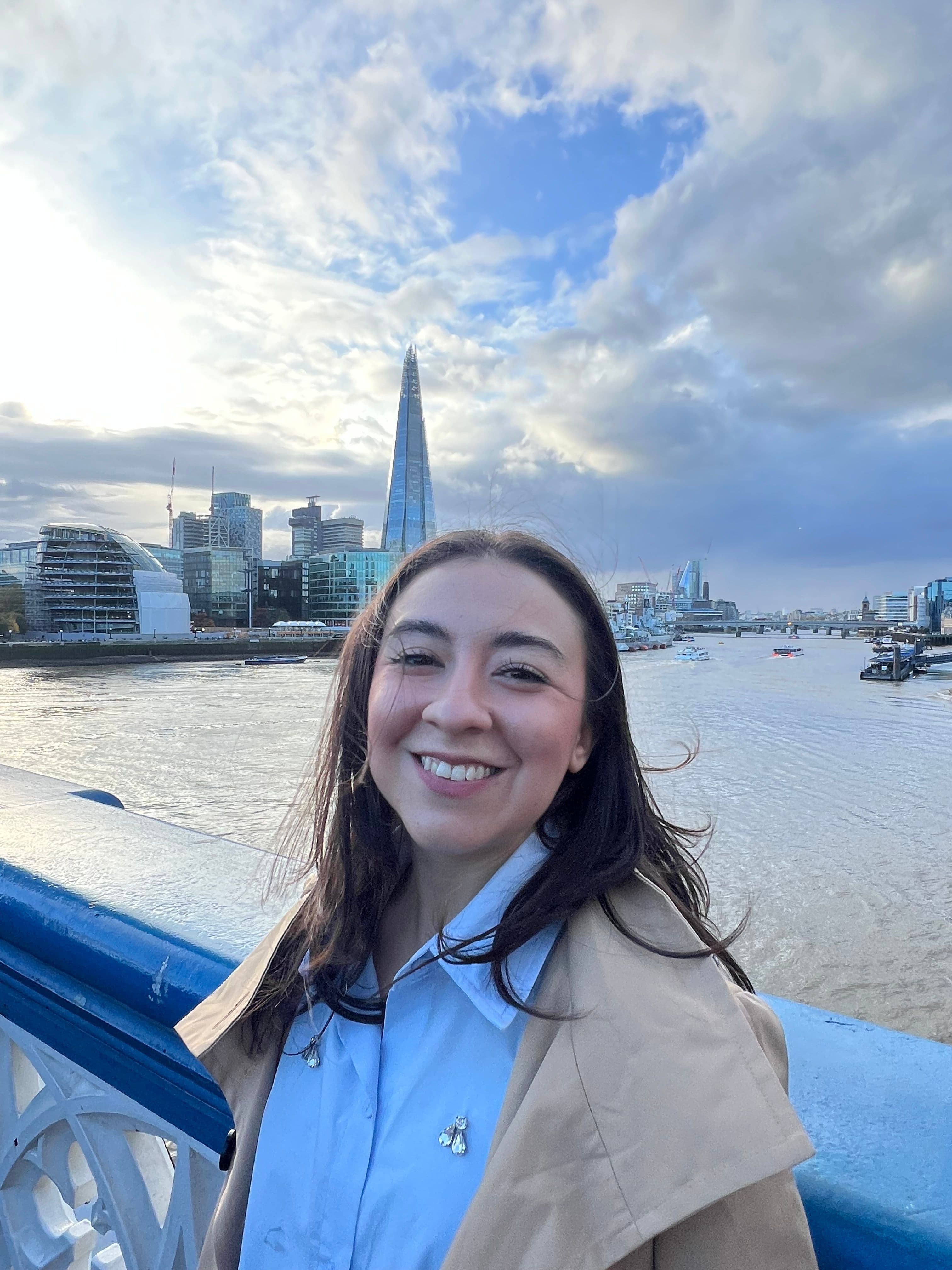 Profesional woman moving to London - photo 1