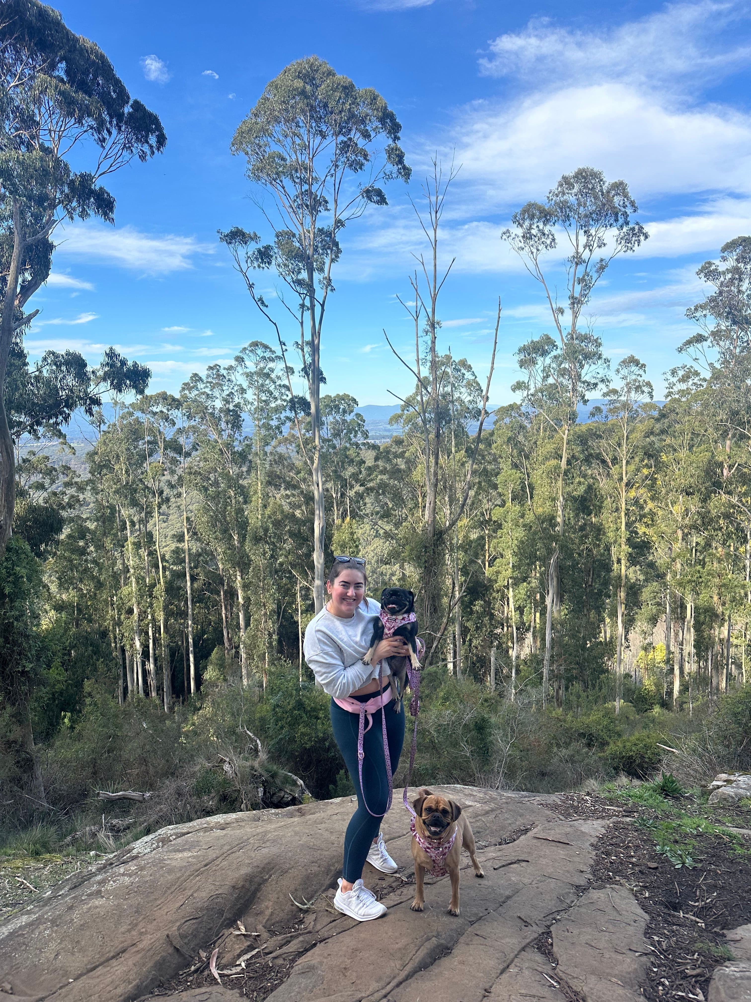 Aussie + 2 Well-Behaved Pups Looking for a Home - photo 3