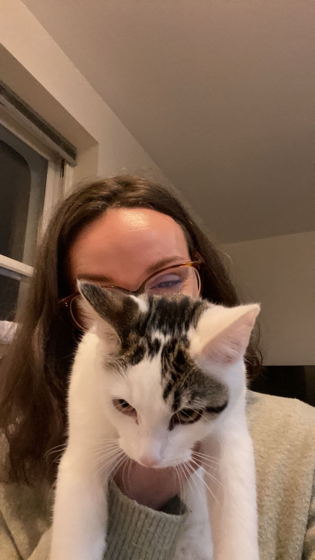 Friendly professional looking for a new home in South East London — photo 1