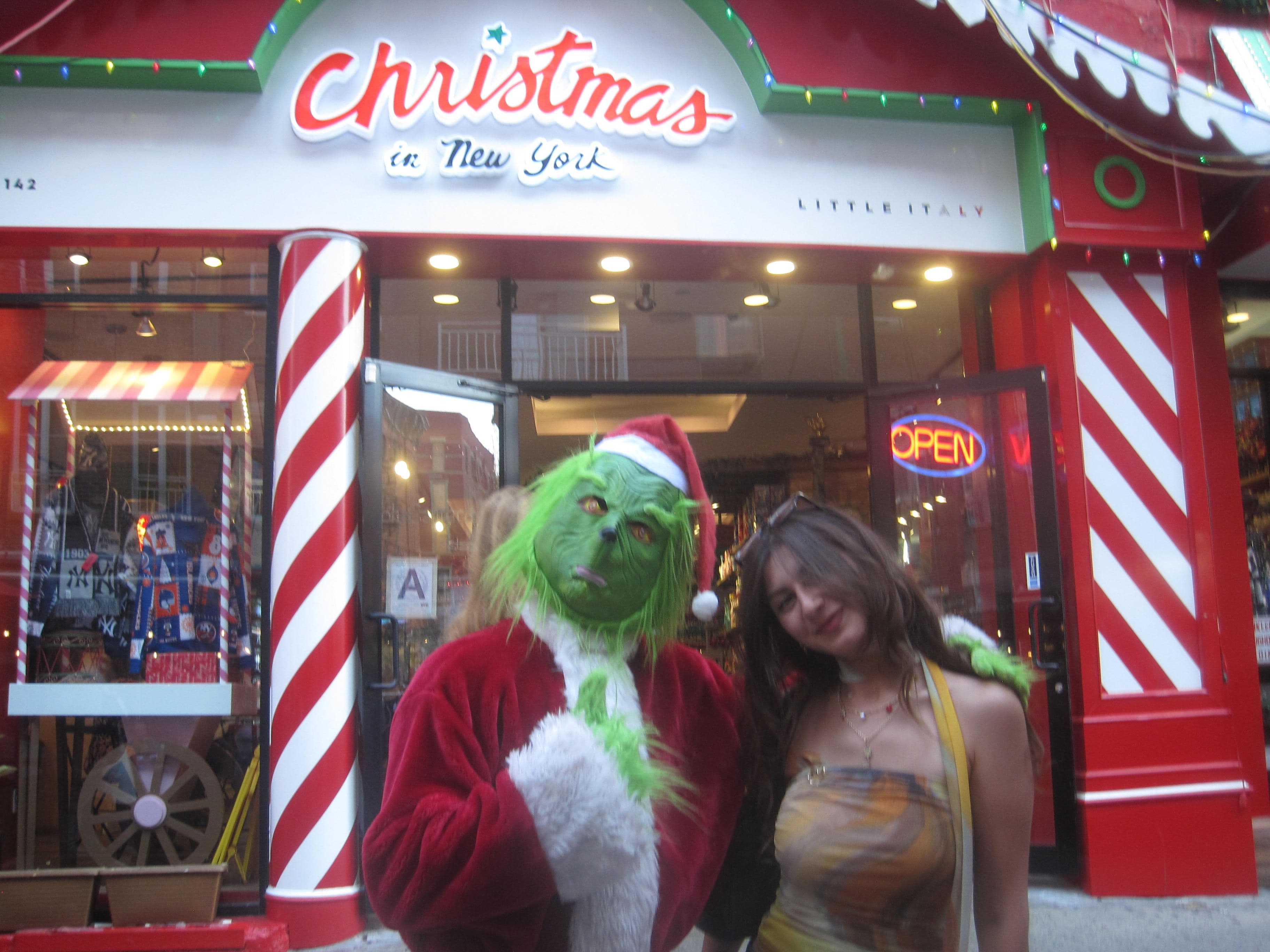 Looking for a flatshare near greenwich - photo 2